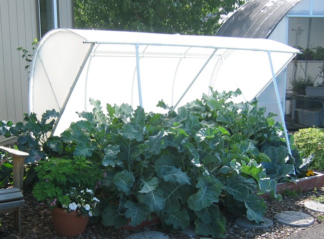 Solexx Cold Frame Solexx Cold Frame