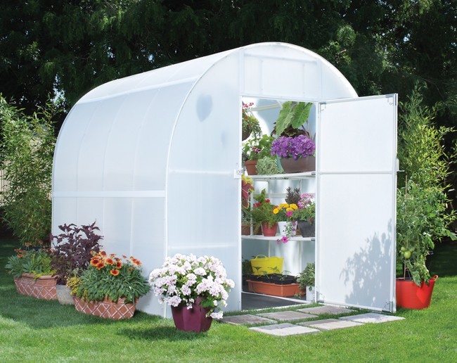 Solexx Gardener's Oasis 8x8 Greenhouse (G-208sp)