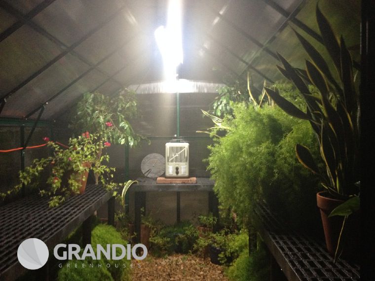 grandio backyard greenhouse