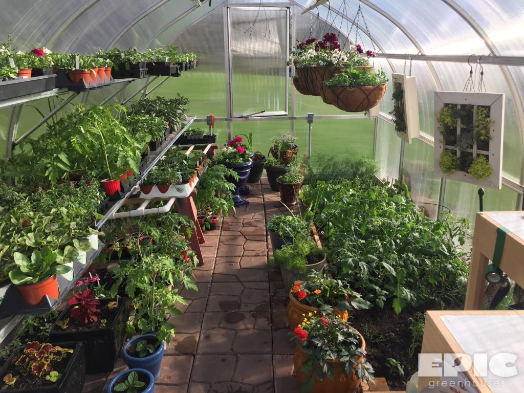 riga backyard greenhouse